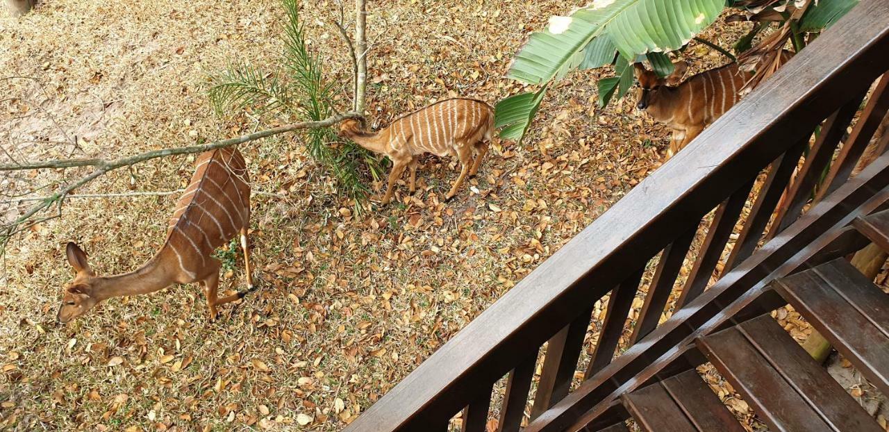 House 53 Sodwana Bay Lodge מראה חיצוני תמונה