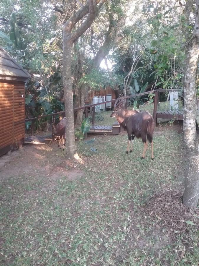 House 53 Sodwana Bay Lodge מראה חיצוני תמונה